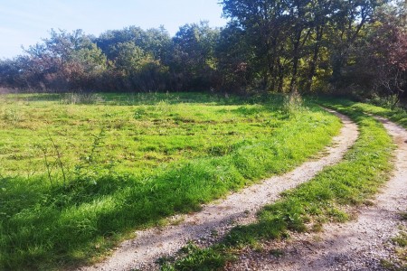 Zemunik Donji - poljoprivredno zemljište pored građevinske zone, 5493 m2