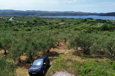 Donje Polje pored Šibenika - maslinik s 40 maslina, 1450 m2