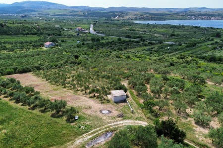 Donje Polje pored Šibenika - maslinik s 40 maslina, 1450 m2