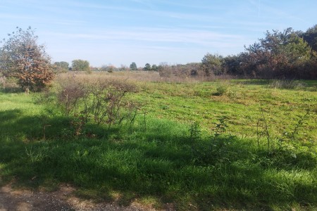 Zemunik Donji - poljoprivredno zemljište pored građevinske zone, 5493 m2